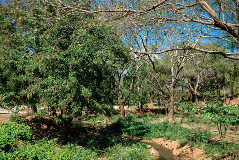 MPCE denuncia trio por crime ambiental na área da ExpoCrato