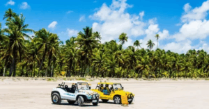 Neste segmento, a Reysen se destaca no investimento da experiência do agroturismo, para criar mais opções para os visitantes do Ceará - (Foto: Reysen)