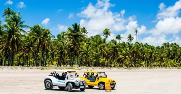 Neste segmento, a Reysen se destaca no investimento da experiência do agroturismo, para criar mais opções para os visitantes do Ceará - (Foto: Reysen)