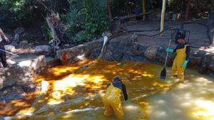 Limpeza de rio em Tianguá deve durar 15 dias após acidente com caminhão de óleo