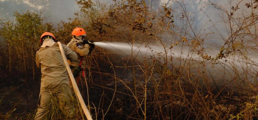 Número de focos de calor cresce 5% em 2024 e alcança todos os municípios cearenses
