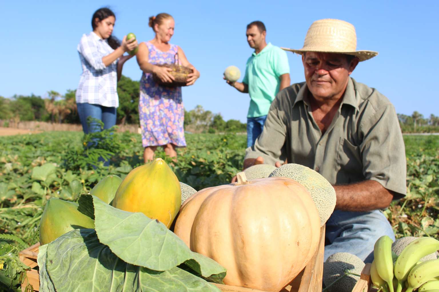 Ceará institui política que valoriza agricultura familiar