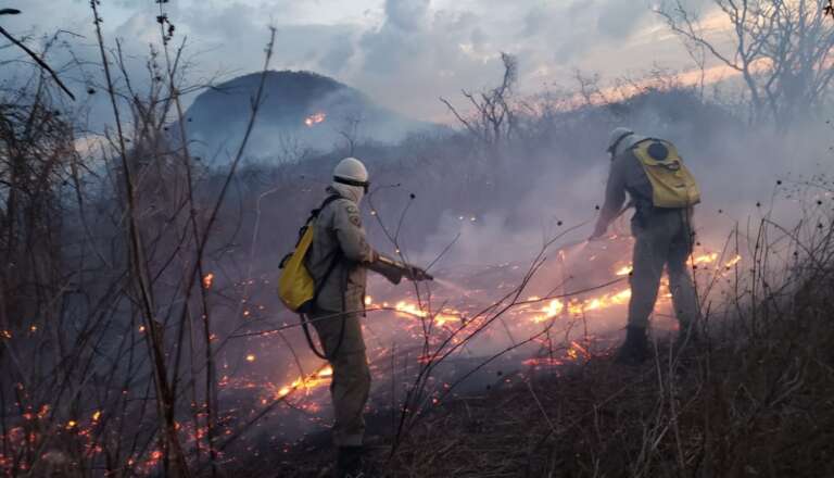Ceará registra queda de 55% em incêndios de vegetação em 2025