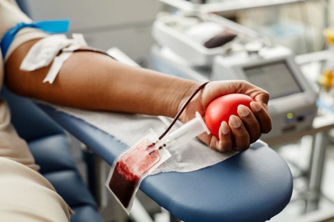 Projeto para perdoar multa de trânsito com doação de sangue é vetado em Eusébio