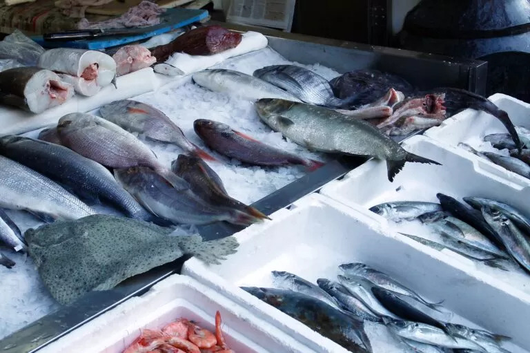 Pescado cearense será taxado nos EUA e siderurgia escapa da medida