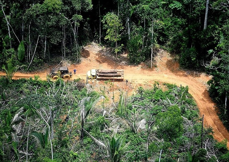 Ceará é o 5º colocado em ranking de ameaças a defensores de direitos humanos