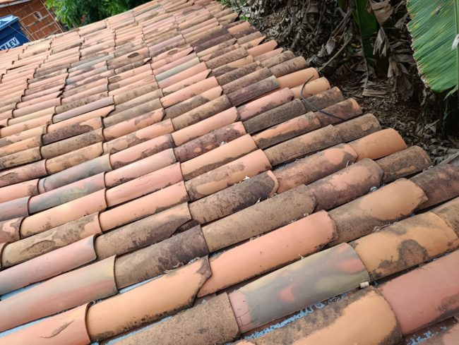 Chuva de veneno afeta famílias, intoxica crianças e causa outros efeitos negativos em município do interior do Ceará - (Foto: Reprodução)
