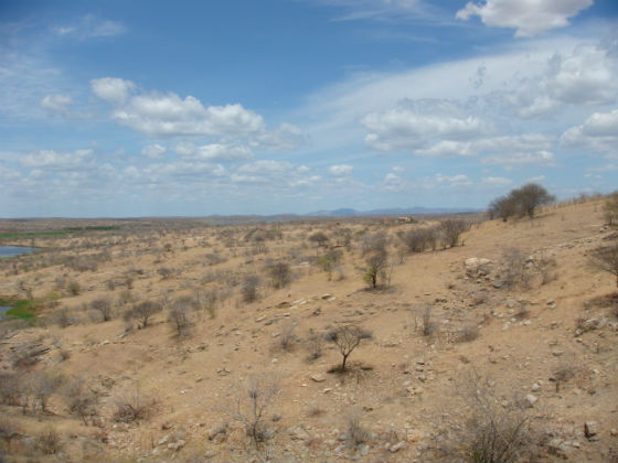 Ceará tem 11% do território em processo de desertificação, aponta estudo