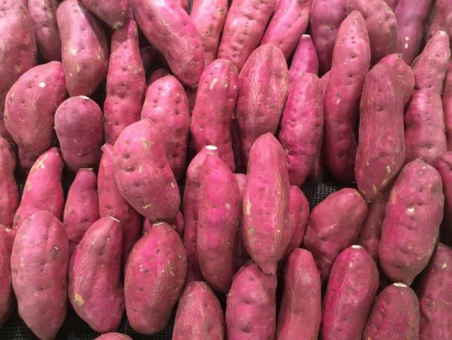 Evento reúne produtores e especialistas para impulsionar o agronegócio na Ibiapaba