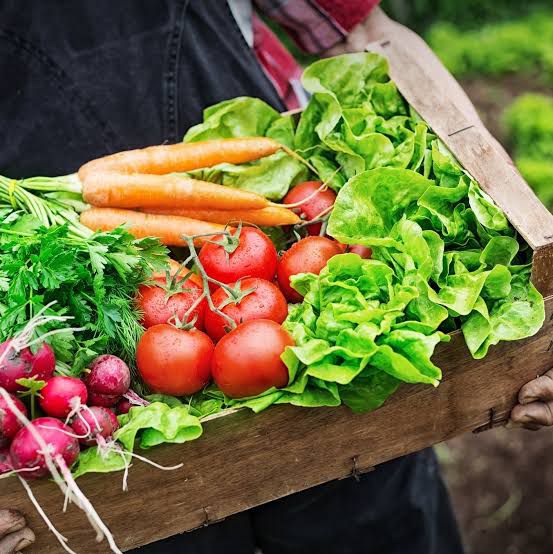 Produtores e gestores debatem o futuro do agro cearense na Ibiapaba