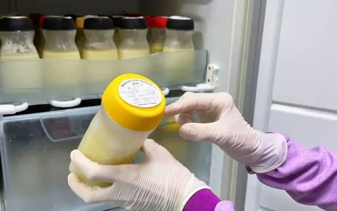 Banco de Leite do Hospital César Cals mantém coleta e atendimento remoto