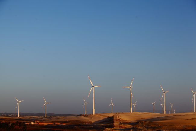 COP30: Ceará destaca produção de hidrogênio verde e inovação climática
