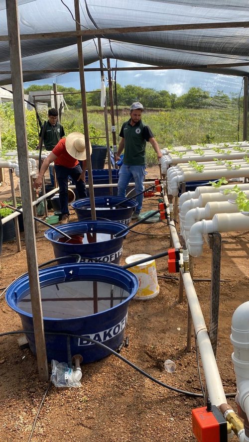 Projeto do IFCE automatiza cultivo hidropônico e integra inteligência artificial