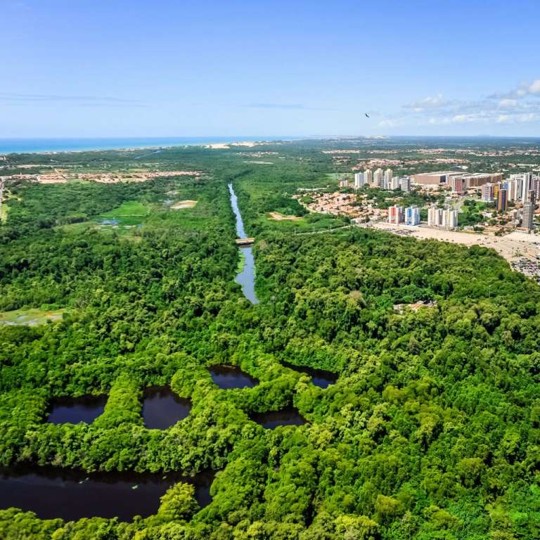 Plano Diretor: proposta coletiva muda áreas de proteção em Fortaleza