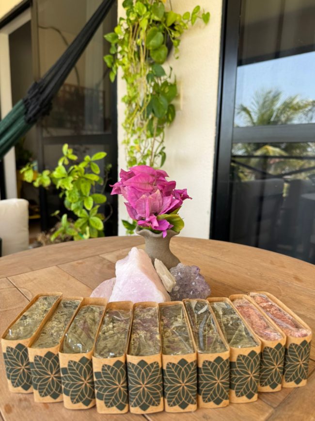 Educação ambiental e cultura negra pautam agenda de novembro na Sabiaguaba