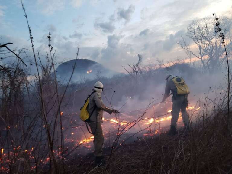 Novembro de 2025 tem recorde de focos de calor no Ceará, aponta Funceme