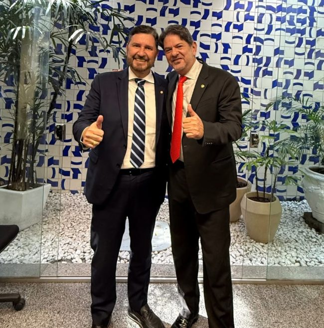 De acordo com o presidente da Assembleia, é unanimidade no PSB o apoio de Cid Gomes para o Senado Federal - (Foto: Reprodução)