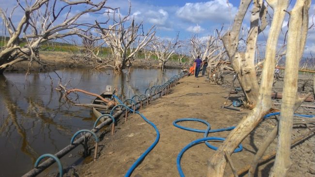 Cagece desenvolve plano pioneiro de gestão proativa de secas no Ceará