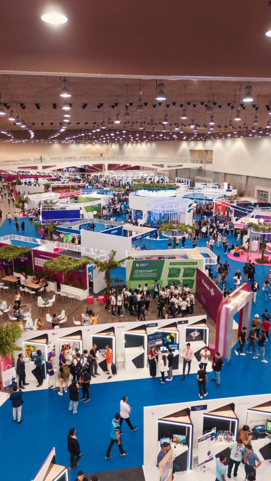 Ceará registra alta de 41,2% no número de startups em 12 meses