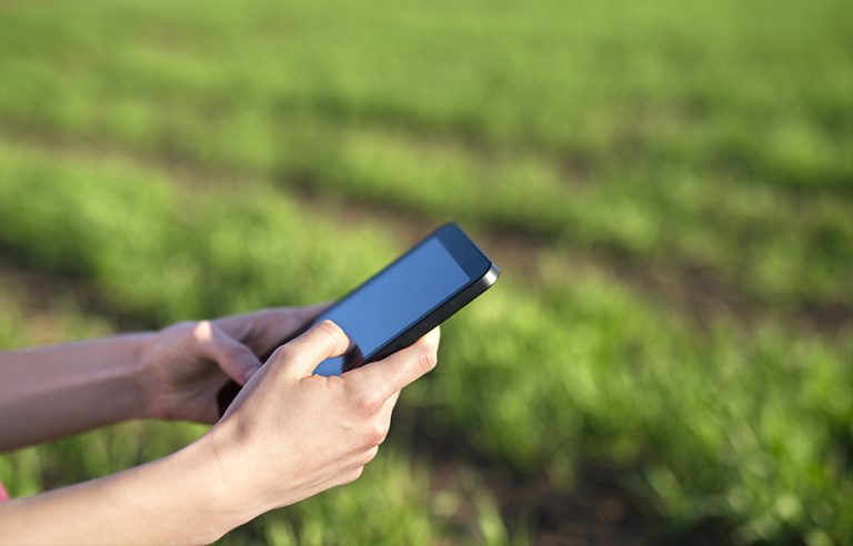 Ceará concede incentivo fiscal para ampliar expansão do 5G em áreas rurais