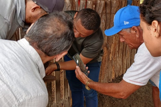 Tecnologia da UFC auxilia diagnóstico de verminose em caprinos e ovinos