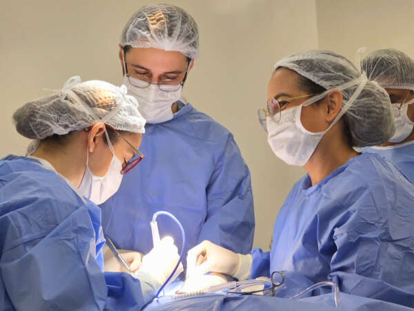 Hospital Universitário do Ceará supera 74 mil atendimentos em nove meses