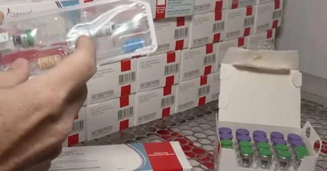 Vacina de dose única contra dengue tem participação da UFC em testes decisivos