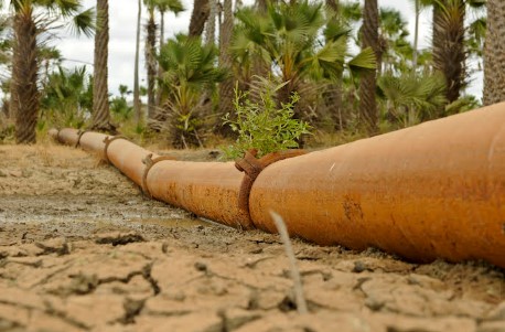 Cagece desenvolve plano pioneiro de gestão proativa de secas no Ceará
