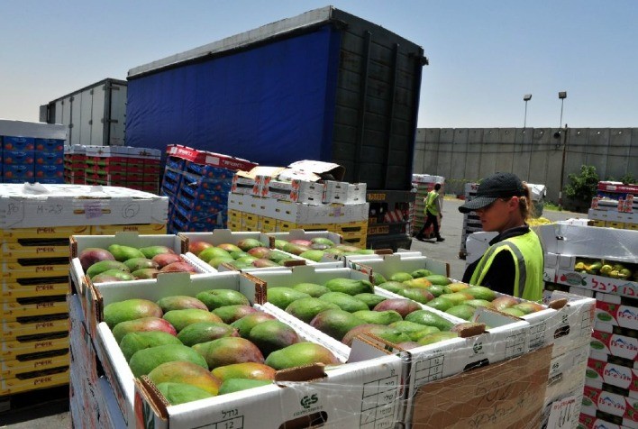 Preços de laranja e maçã ficam estáveis em dezembro, diz Conab