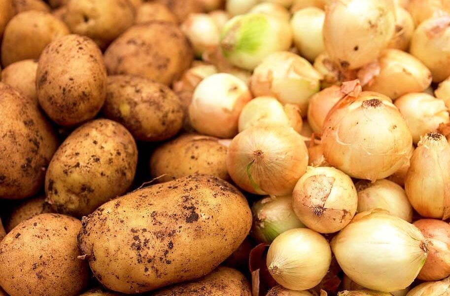 Preços de laranja e maçã ficam estáveis em dezembro, diz Conab