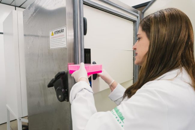 Uece testa medicamento do SUS contra Síndrome de Rett