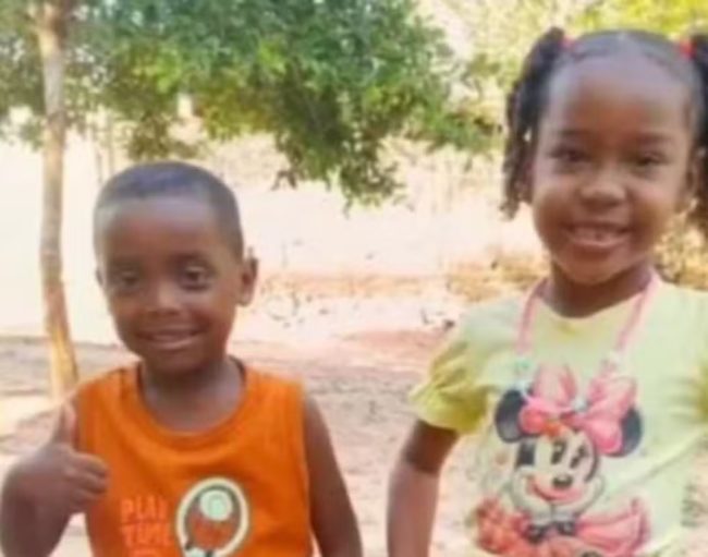 Ceará envia equipe com cães e drones para buscas no Maranhão