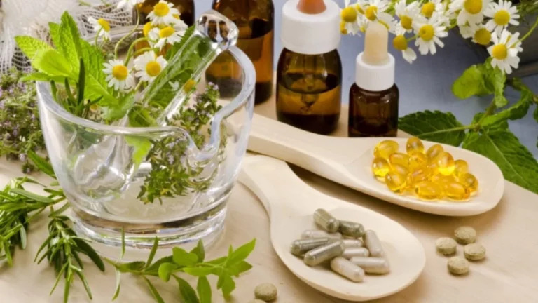 Brasil atualiza regras para produção e registro de fitoterápicos