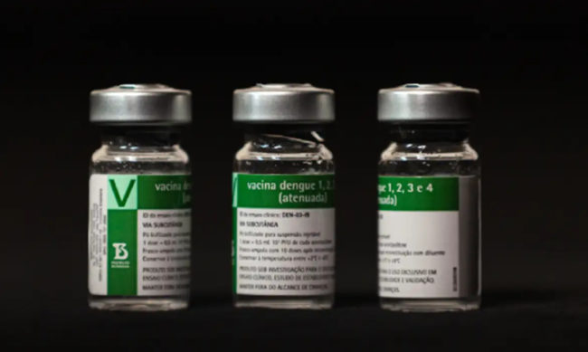 Maranguape integra lista inicial de cidades com vacina contra dengue