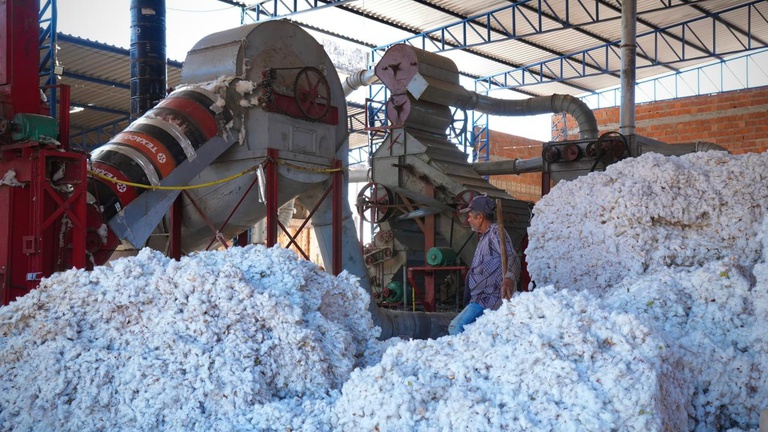 Transnordestina é aposta para ampliar competitividade agrícola no Ceará