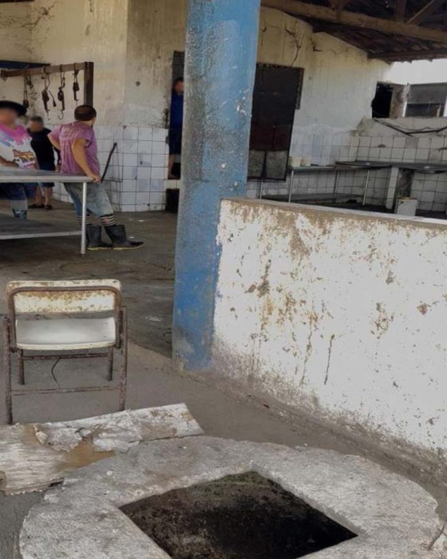 MP cobra fechamento de abatedouro em Pentecoste por falhas sanitárias