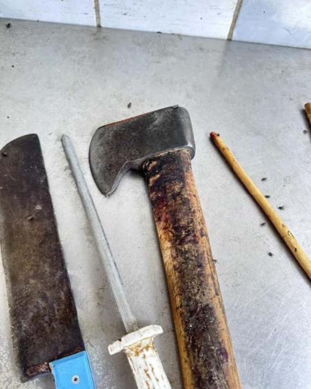 MP cobra fechamento de abatedouro em Pentecoste por falhas sanitárias