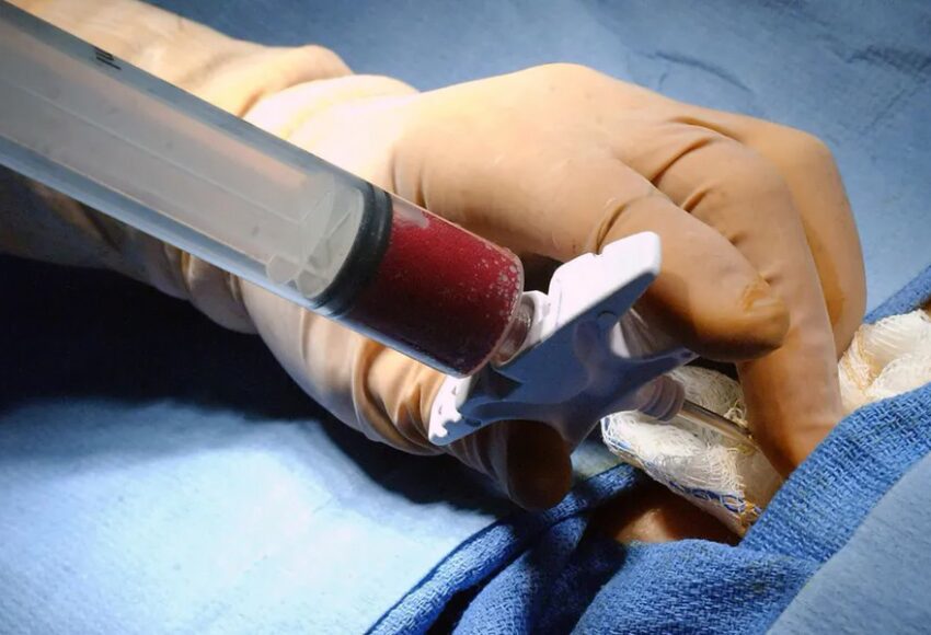 Alece lança campanha para incentivar doação de sangue e de medula