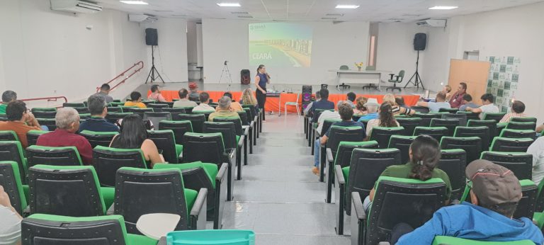 Data center do TikTok e parques eólicos entram em debate no Baixo Jaguaribe