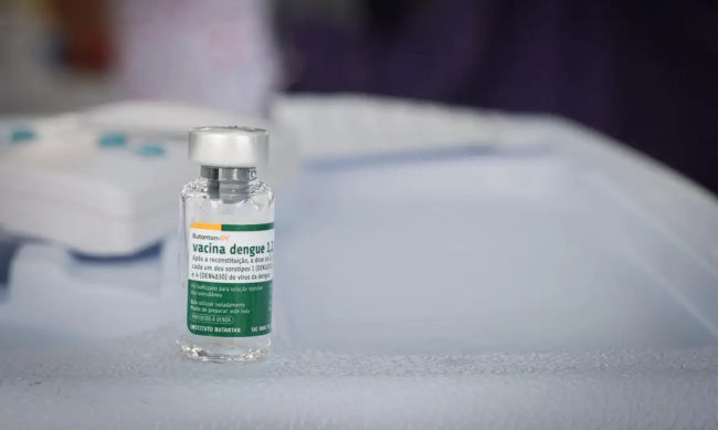 Vacina do Butantan contra dengue mantém proteção elevada após cinco anos