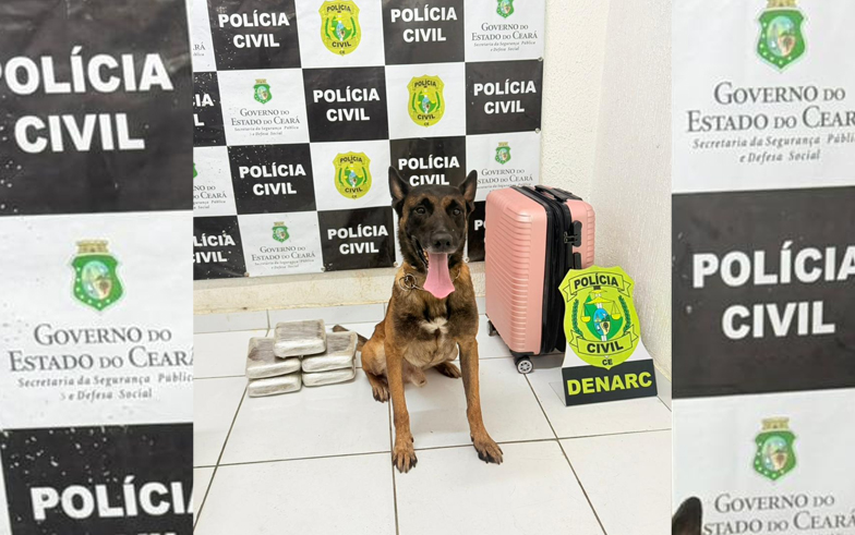 De acordo com os agentes policiais, o auxilio do cão farejador tem sido peça estratégica neste tipo de operação - (Foto: PCCE)