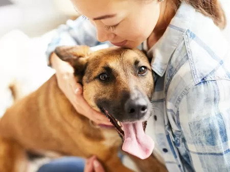 Abril Laranja promove vacinação, castração e adoção de animais em Fortaleza