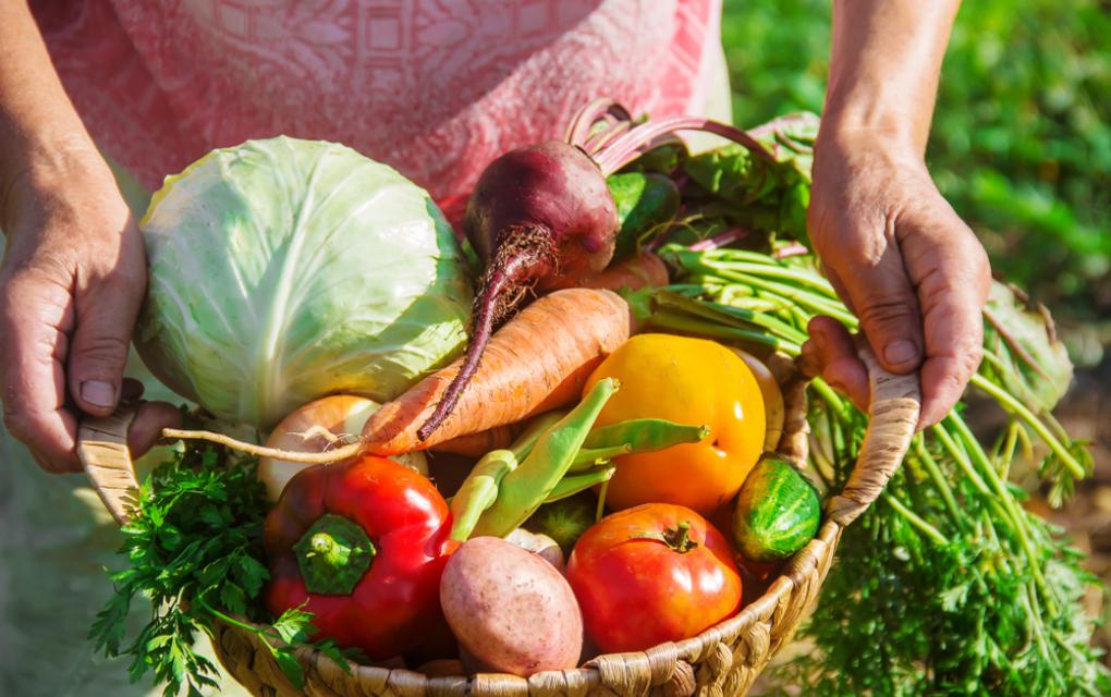 Inscrições abertas para agricultores familiares no 10º Salão do Turismo