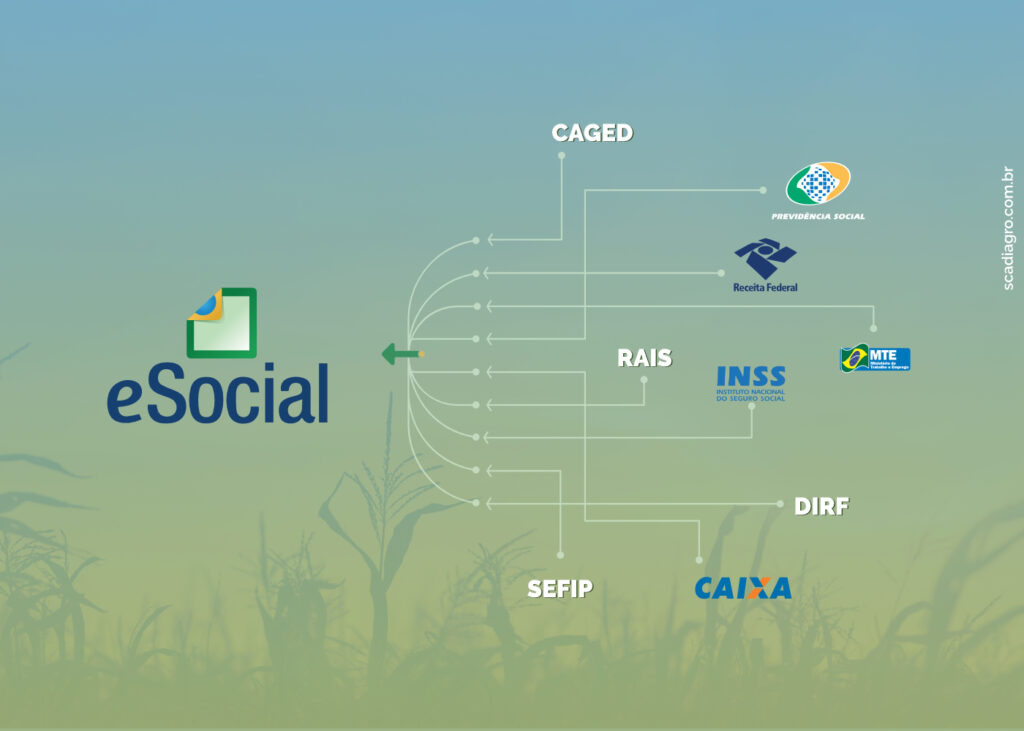 Um dos objetivos do eSocial é modernizar a alimentação da base de dados com as informações de cada cidadão - (Foto: SCAdiagro)