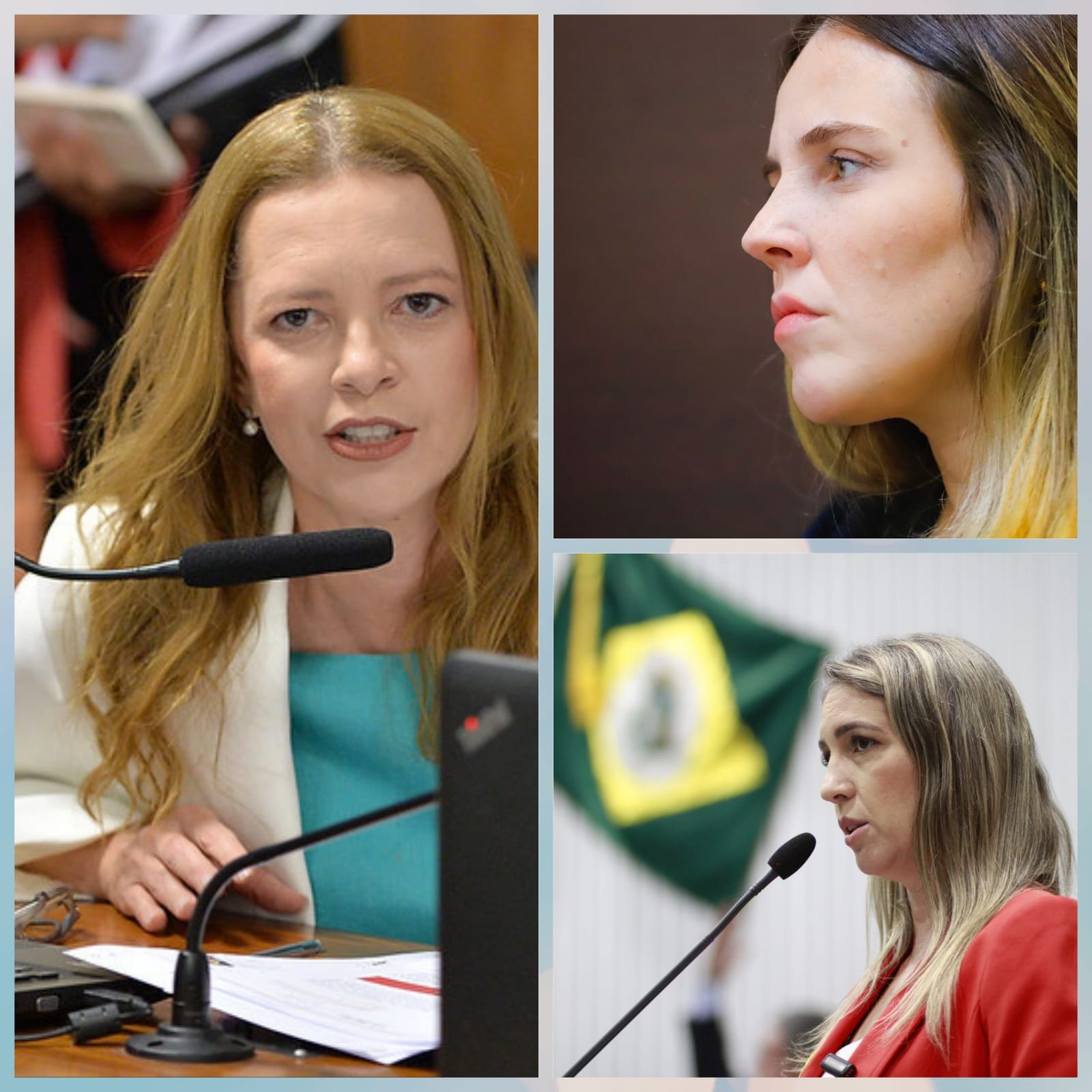 A multa aplicada como parte da condenação de Ciro Gomes (PSDB) será destinada à entidades que protejam os direitos das mulheres - (Foto: Reprodução)