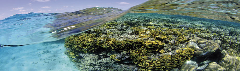 Ocean Summit 2026 reunirá especialistas nacionais e internacionais em Fortaleza