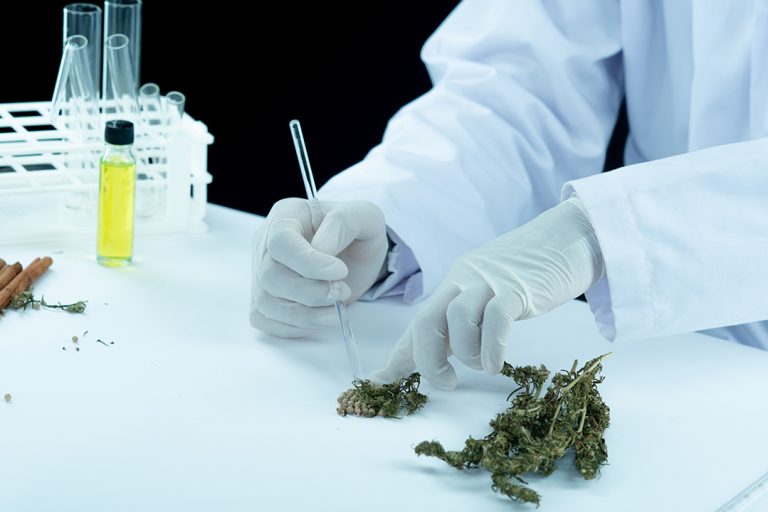 Distúrbios do sono lideram tratamentos com cannabis entre mães brasileiras