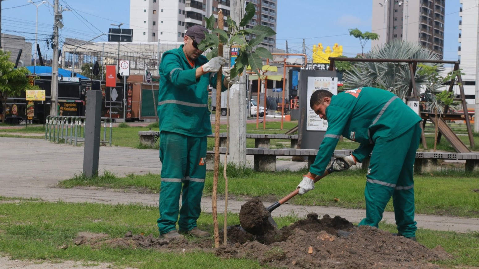 Fortaleza amplia áreas verdes e alcança marca de 9,3 mil mudas plantadas