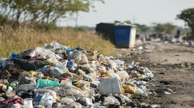 Fortaleza registra 11 casos de leptospirose em 2026