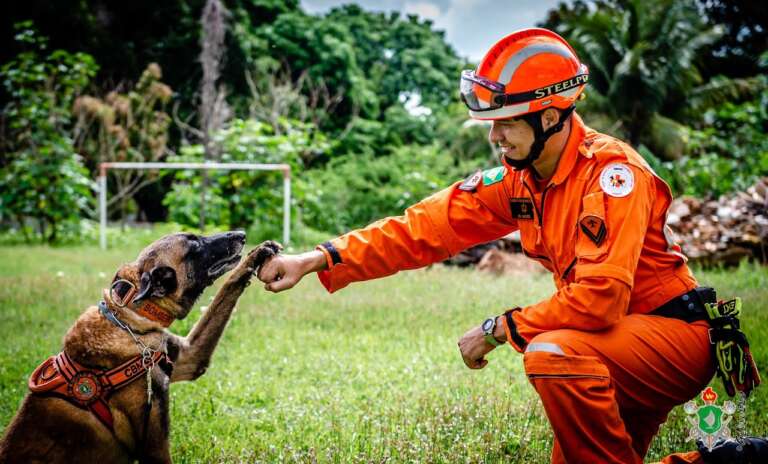 Resgates de animais no Ceará chegam a quase seis mil até maio